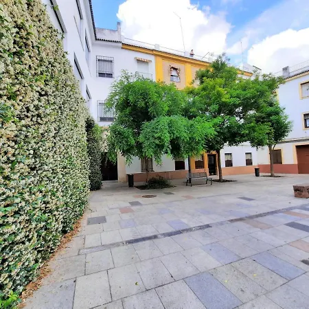 San Pedro Parking Gratis Coche Mediano Apartment Cordoba Exterior photo