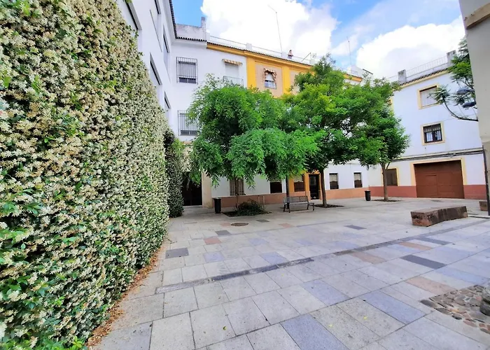 San Pedro Parking Gratis Coche Mediano