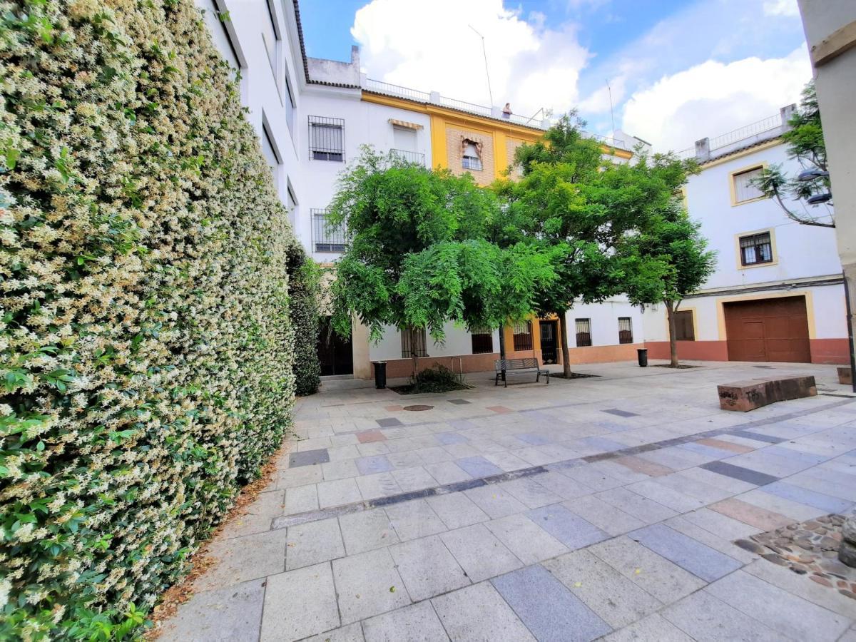 Apartment San Pedro Parking Gratis Coche Mediano