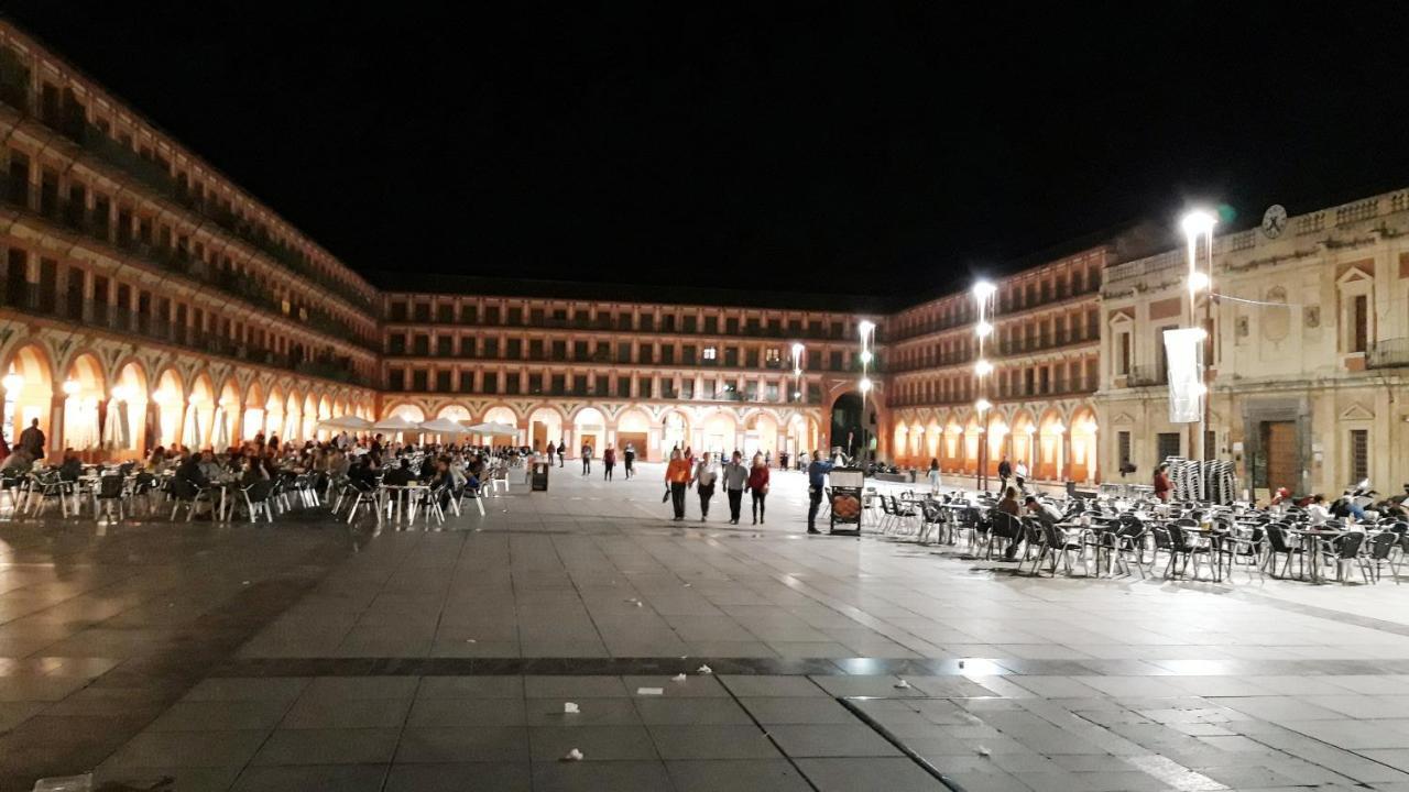 Apartment San Pedro Parking Gratis Coche Mediano